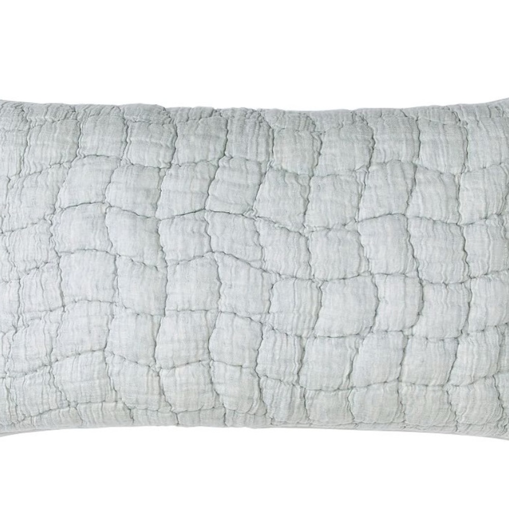 2 Pottery Barn Cloud King Shams
